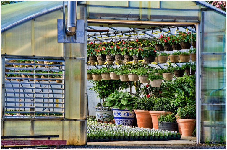 Secor hothouse